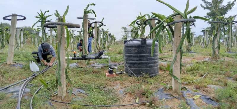 Drip irrigation work in progress at Khughovi village. (DPRO Photo)